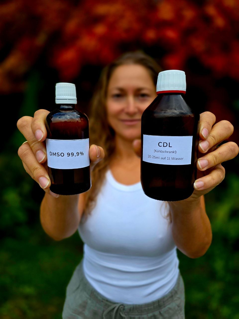 Geschützt: <b>Impulsvortrag zu DMSO & CDL </b>